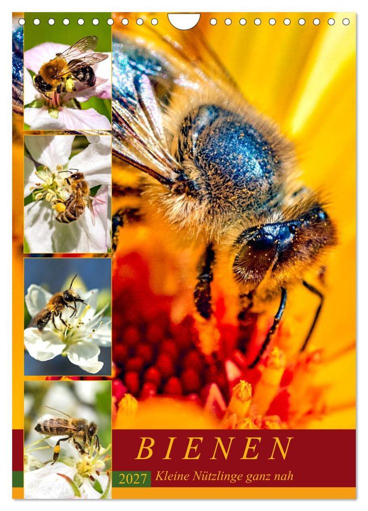 BIENEN - Kleine Nützlinge ganz nah (Wandkalender 2027 DIN A4 hoch), CALVENDO Monatskalender