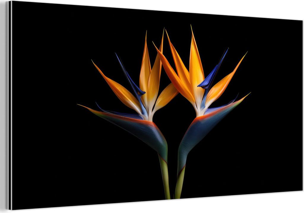 MuchoWow Wanddekoration Metall Metallbild Wandkunst 80x40 cm Pflanzen - Blumen - Paradiesvogelblume - Porträt - Schwarz MuchoWow Aluminium Gemäld...
