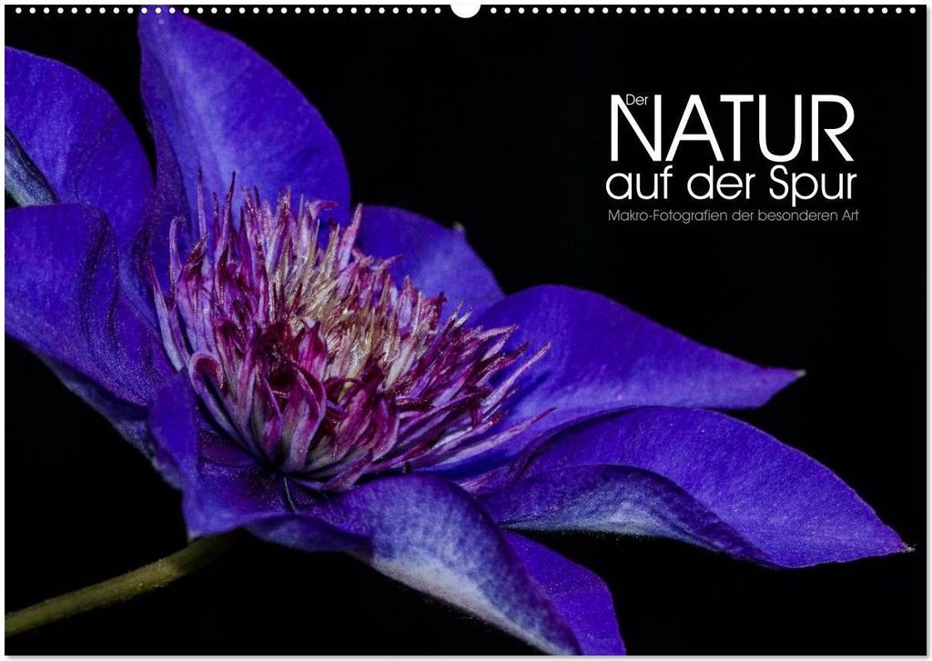 Der Natur auf der Spur - Makro-Fotografien der besonderen Art (Wandkalender 2026 DIN A2 quer), CALVENDO Monatskalender