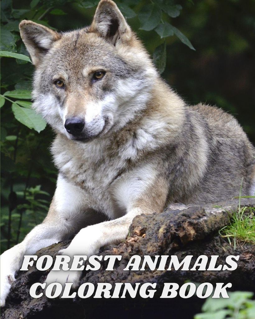 Helle, L: Forest Animals Coloring Book