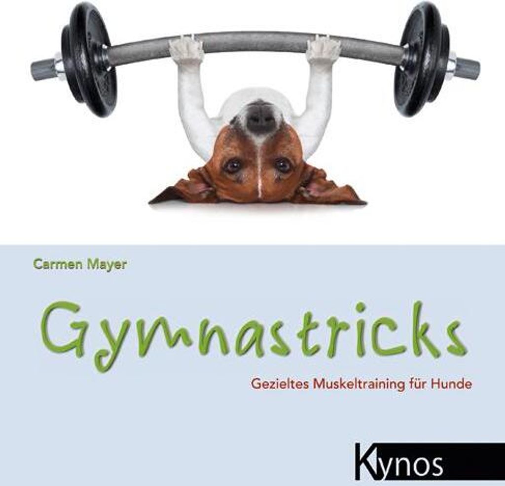 Gymnastricks