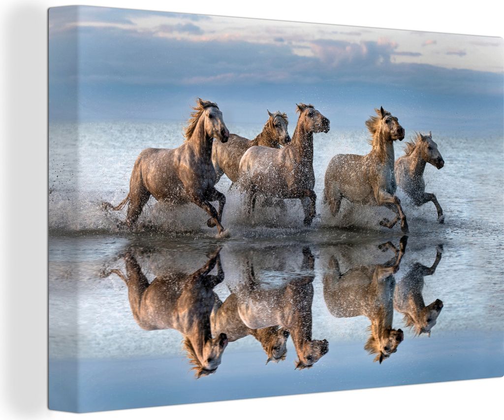 OneMillionCanvasses - Leinwandbilder - 140x90 cm, Pferde - Wasser - Weiß, Wandbilder Kunstdruck Wanddekoration