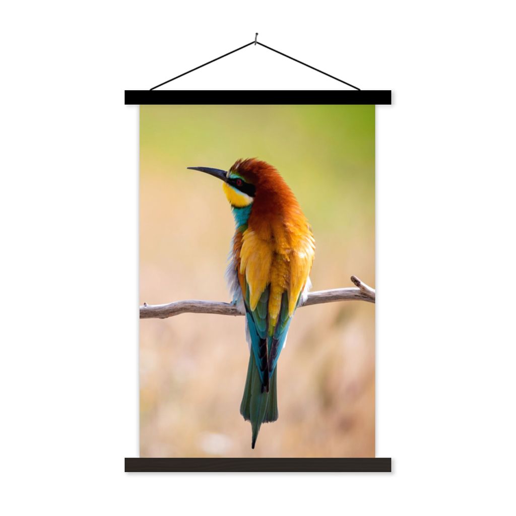 MuchoWow Textilposter Vögel - Bienenfresser - Tiere 60x90 cm mit schwarzem Rahmen - Poster Wohnzimmer