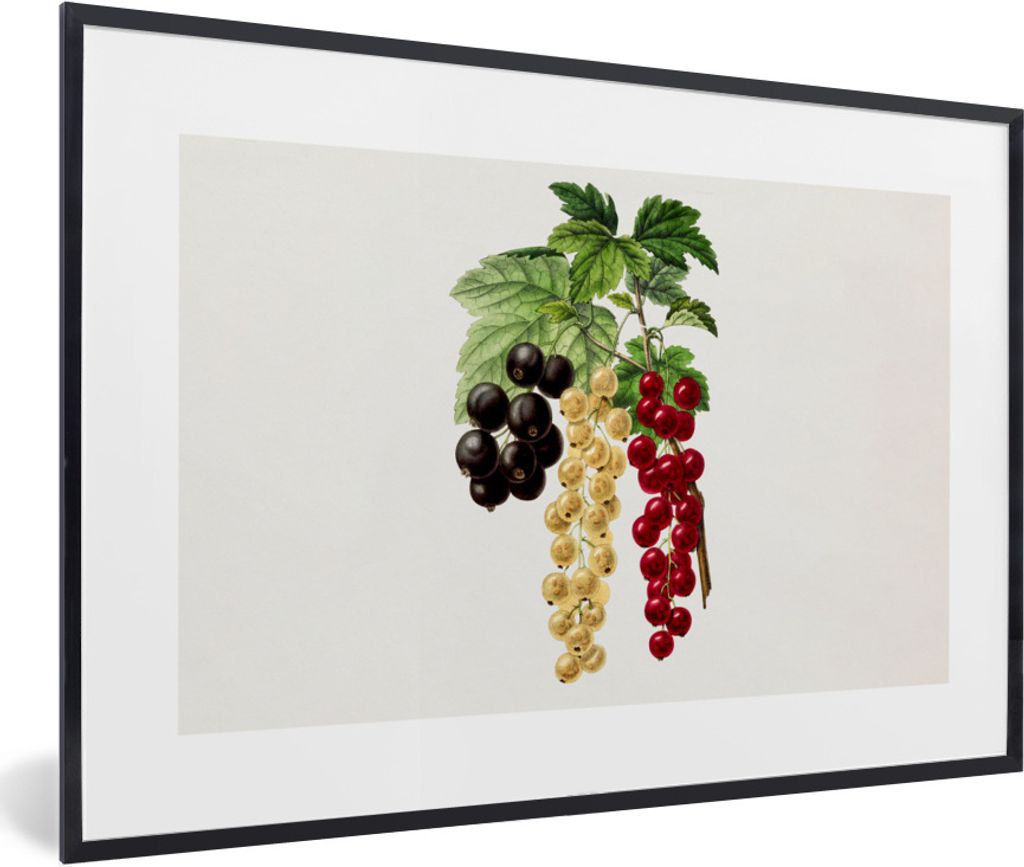 MuchoWow Gerahmtes Poster Lebensmittel - Beeren - Obst 60x40 cm - Poster mit Schwarzem Bilderrahmen Wandposter Rahmen Foto Bilder - Printing - Wa...