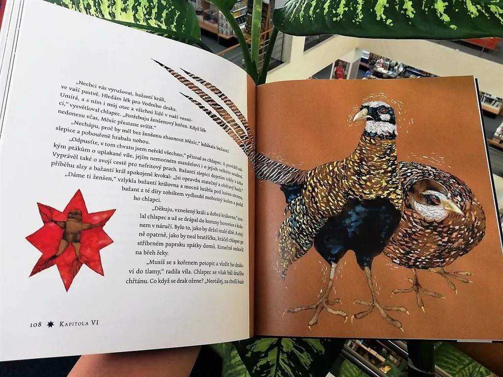 Jakub a hvězdy de Renáta Fučíková - Beau Livre Illustré sur l'Astronomie