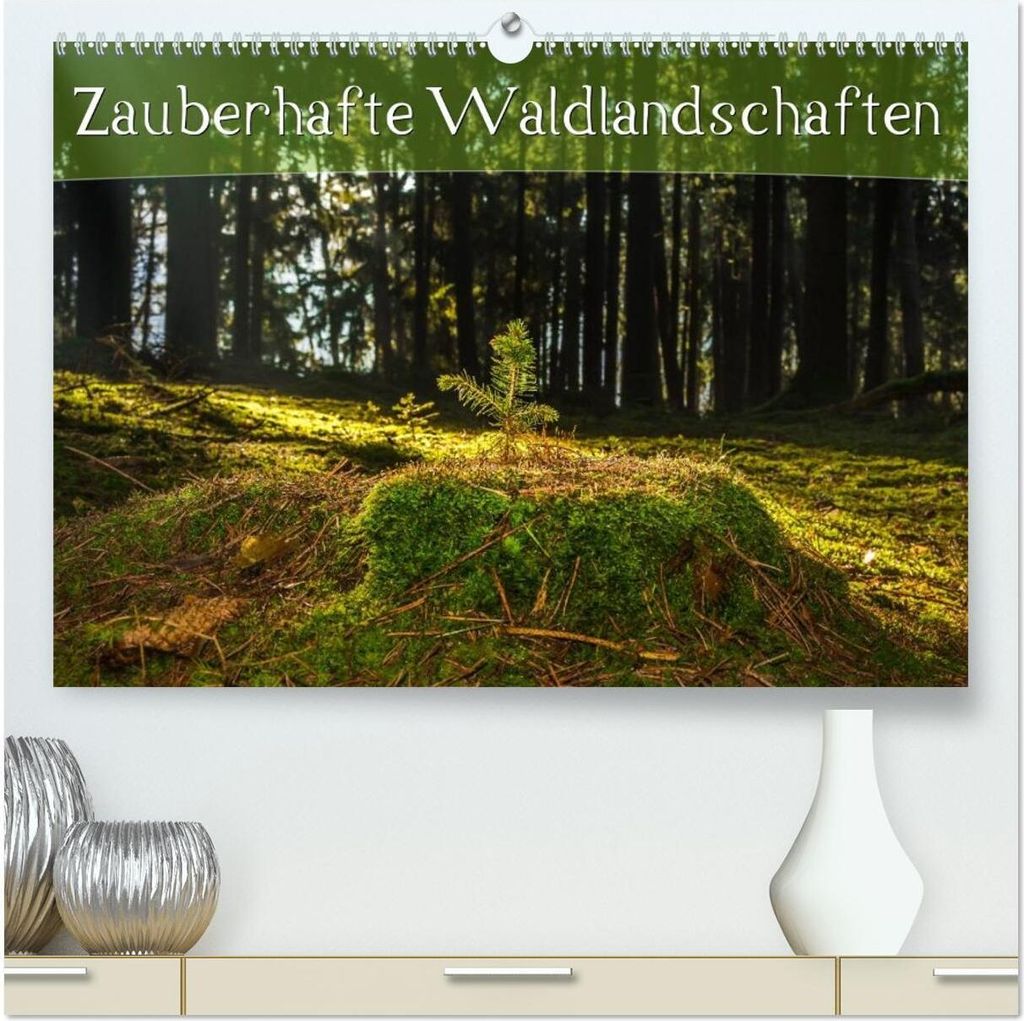 Zauberhafte Waldlandschaften (hochwertiger Premium Wandkalender 2026 DIN A2 quer), Kunstdruck in Hochglanz