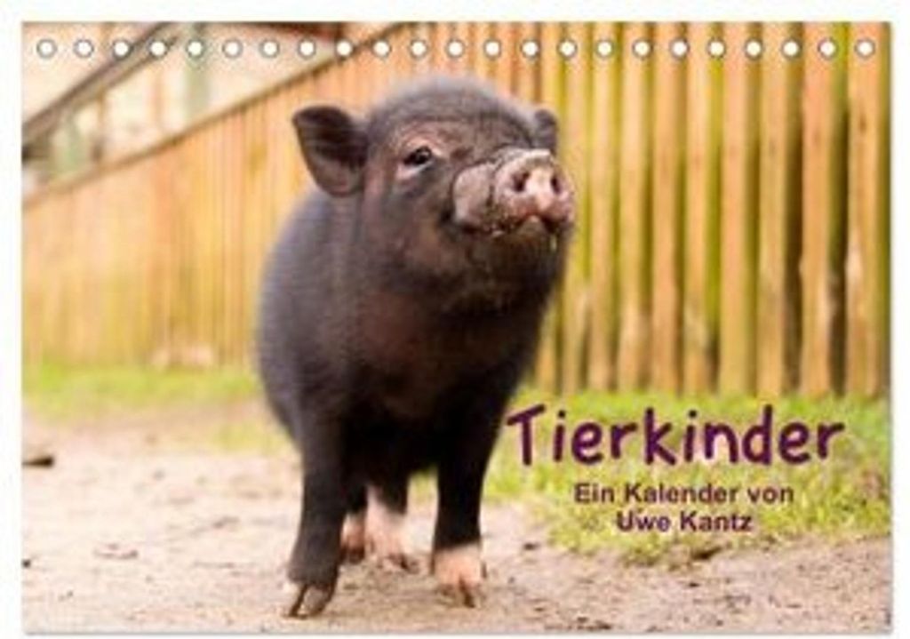 Tierkinder (Tischkalender 2026 DIN A5 quer), CALVENDO Monatskalender