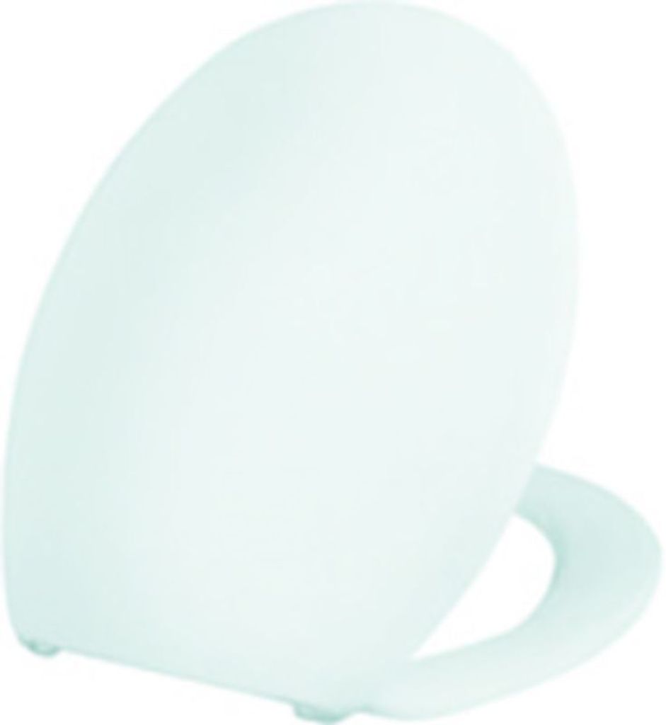 WC-Sitz clivia mit Deckel weiss Scharniere Edelstahl V2TSI Produktbild 