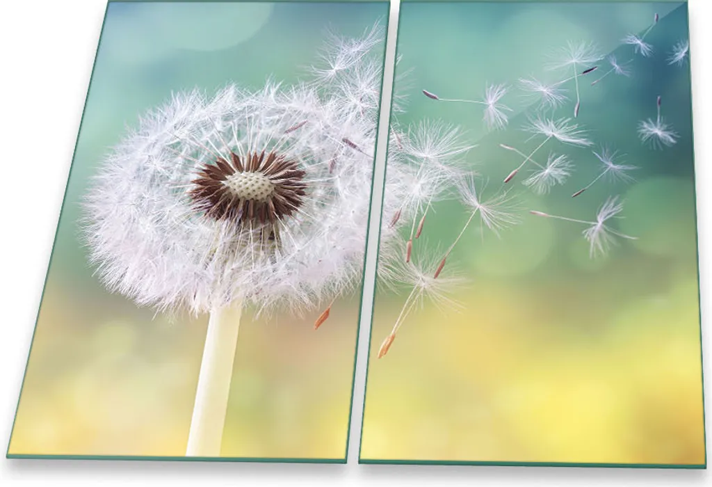 Piastra di copertura del piano cottura Piastra di copertura del piano cottura in ceramica 2 pezzi 60x52 Vetro Dandelion
