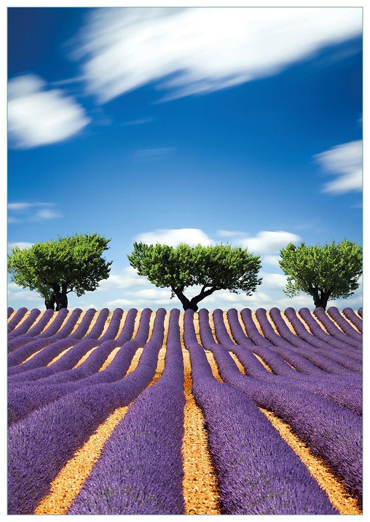 Wallario Premium Glasbild, freischwebende Optik, kräftige Farben, Größe 100 x 70 cm Motiv Abstraktes lila Blumenfeld mit Lavendel