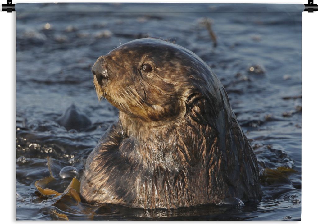 MuchoWow Wandteppich Wandbehang Tiere - Otter - Wasser 60x45 cm Tapisserie Dekoration Wandtuch - Das Schlafzimmer