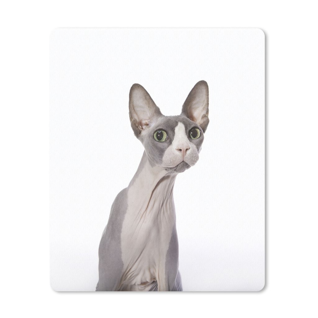 MuchoWow Mauspad Mousepad Überrascht Sphynx auf einem weißen Hintergrund 19x23 cm - Mousepads - Maus Mat - Pad - Mausunterlage - Mauspads - Spi...