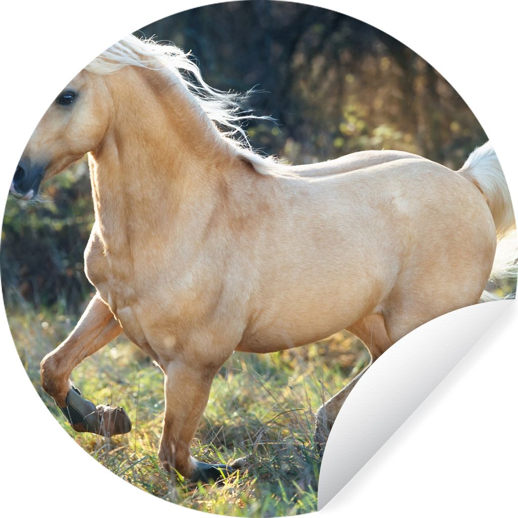 MuchoWow Runde Wandtattoo - Wandsticker Tapete Aufkleber Pferd - Natur - Braun Ø 100 cm Selbstklebend und Repositionierbar - Wandaufkleber - Kre...