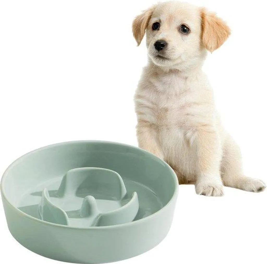 Stop aux repas trop rapides : gamelle céramique chien 15 cm verte