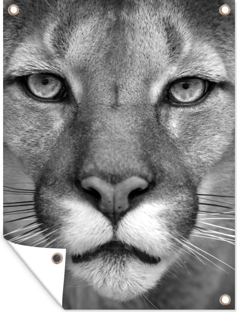 MuchoWow 60x80 cm Outdoor-Poster Gartendeko Sichtschutz Garten Poster für den Garten Panther - Wildlife - Schwarz - Weiß