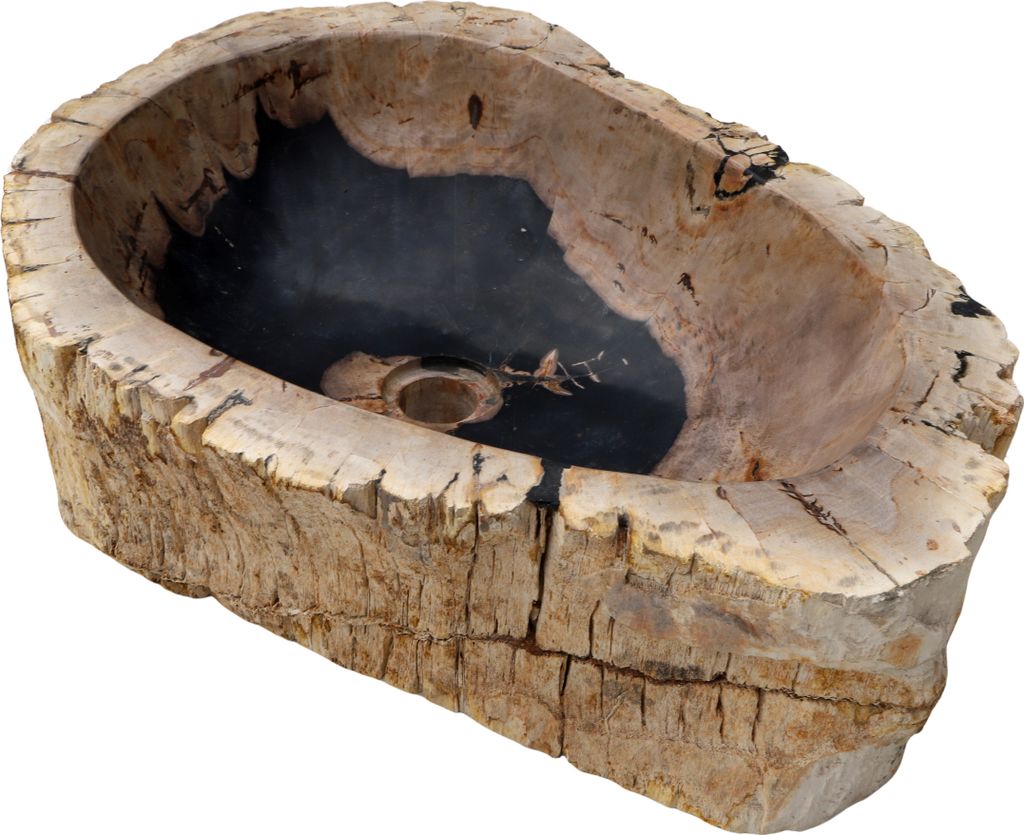Massives Fossiles Holz Aufsatz-Waschbecken, Waschschale, Naturstein Handwaschbecken - Modell 5, Creme-weiß, FossilesHolz, 15*59*41 cm, Waschtische...