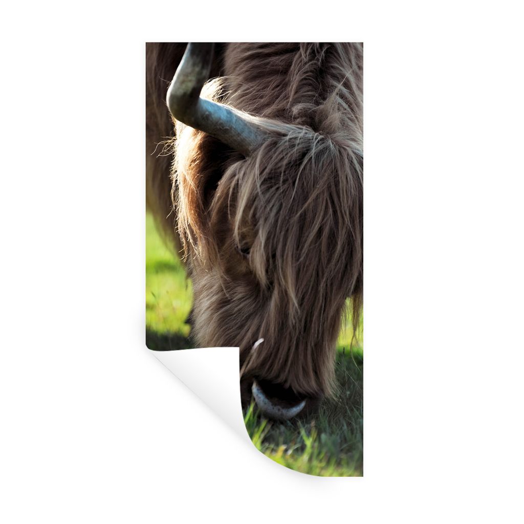 MuchoWow Wandtattoo Wandsticker Wandaufkleber Schottischer Highlander - Hörner - Sonne 60x120 cm Selbstklebend und Repositionierbar - Selbstkleb...