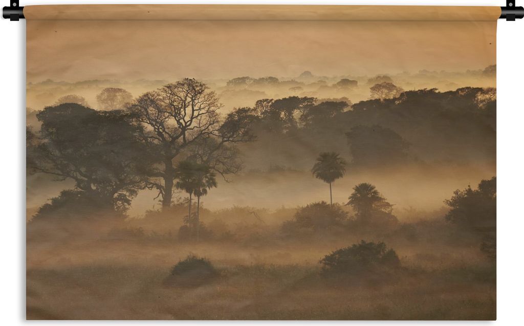 MuchoWow Wandteppich Wandbehang Grasland im Morgennebel im Pantanal 60x40 cm Tapisserie Dekoration Wandtuch - Wanddekorationen