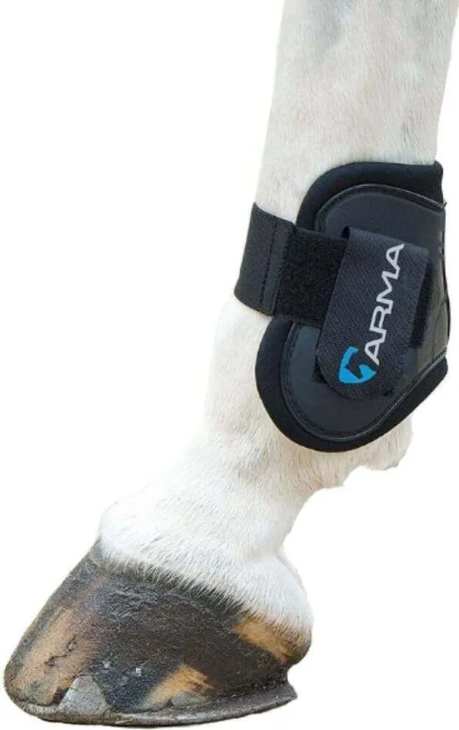 Recensione ARMA Stivali Fetlock ER252 | Migliori Paranocche Pony Cob