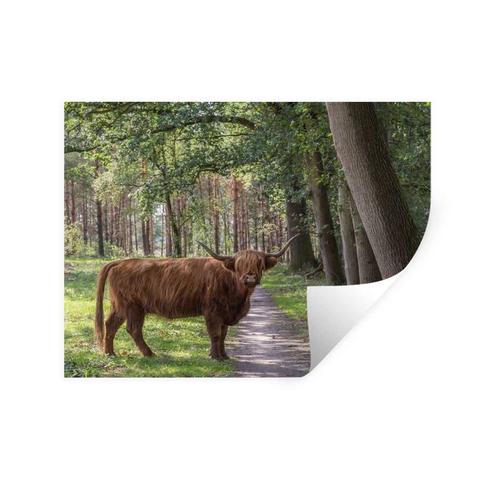 MuchoWow Wandtattoo Wandsticker Wandaufkleber Schottischer Highlander - Kröte - Baum 160x120 cm Selbstklebend und Repositionierbar - Selbstklebe...