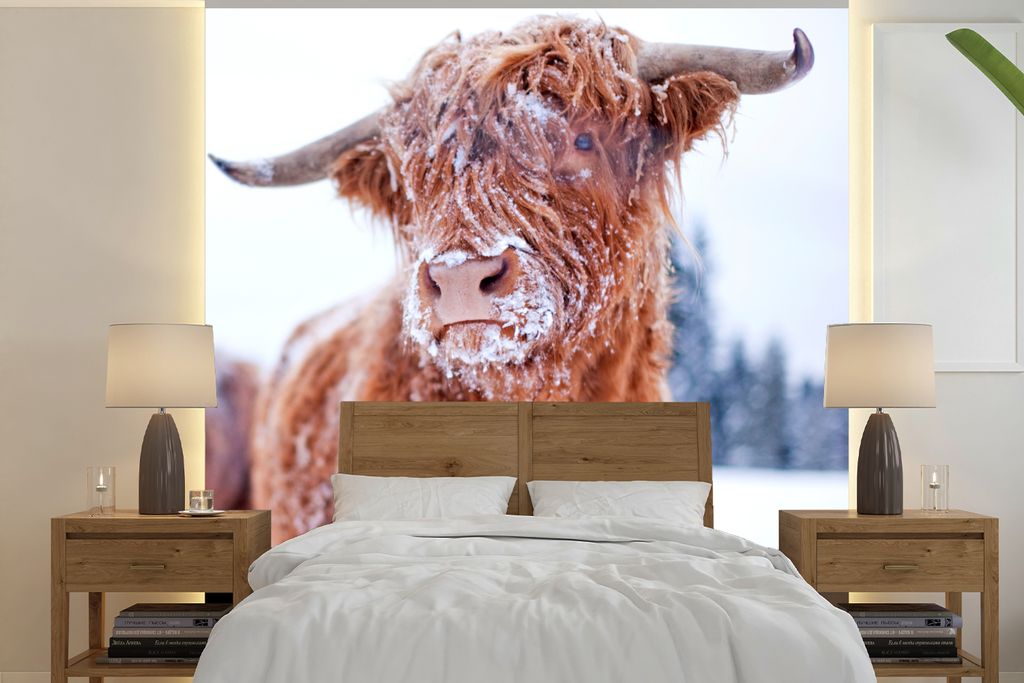 MuchoWow Fototapete für Wohnzimmer oder Schlafzimmer Wandtapete Vinyl Motivtapete Schottischer Highlander - Schnee - Haut - 220x220 cm - Tapeten