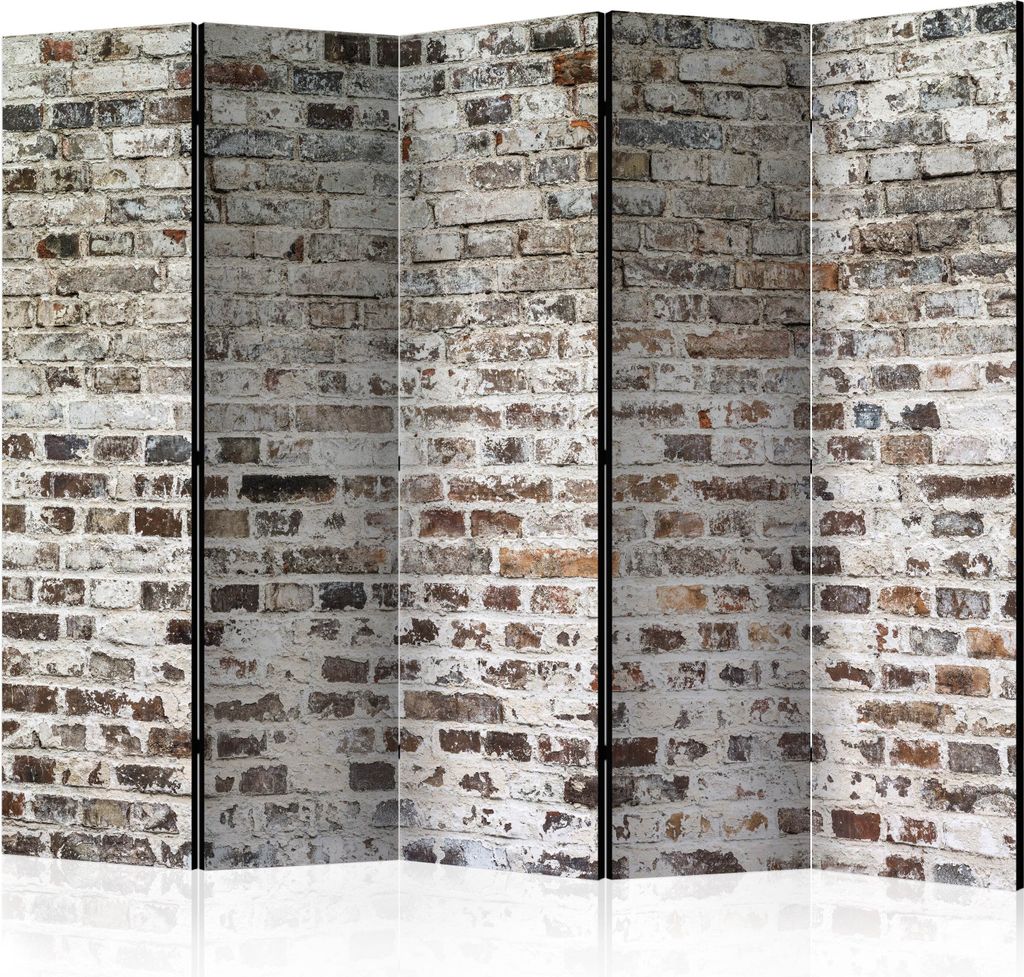 5-teiliger Einseitiger Vlies Paravent - Old Walls II 225x172 cm Muster f-A-0411-z-c