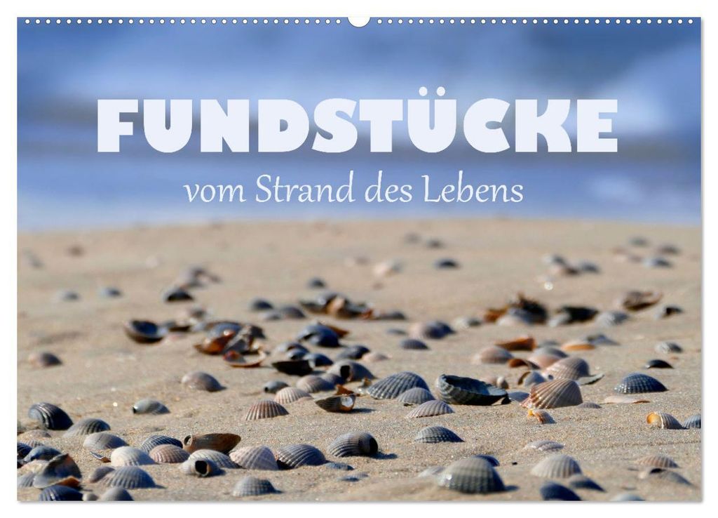 Fundstücke vom Strand des Lebens (Wandkalender 2027 DIN A2 quer), CALVENDO Monatskalender