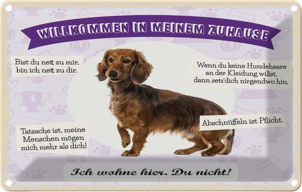 vianmo Blechschild 20x30 cm Tiere Dackel willkommen wohne Produktbild 
