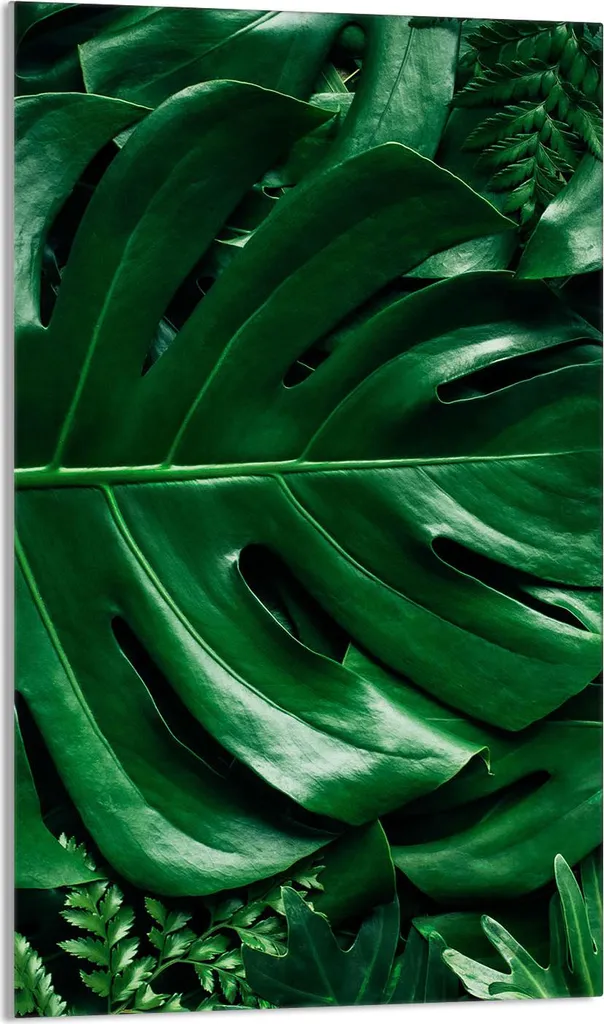 Piastra Copriforno 30x52 Monstera - Vetro Temperato Antigraffio