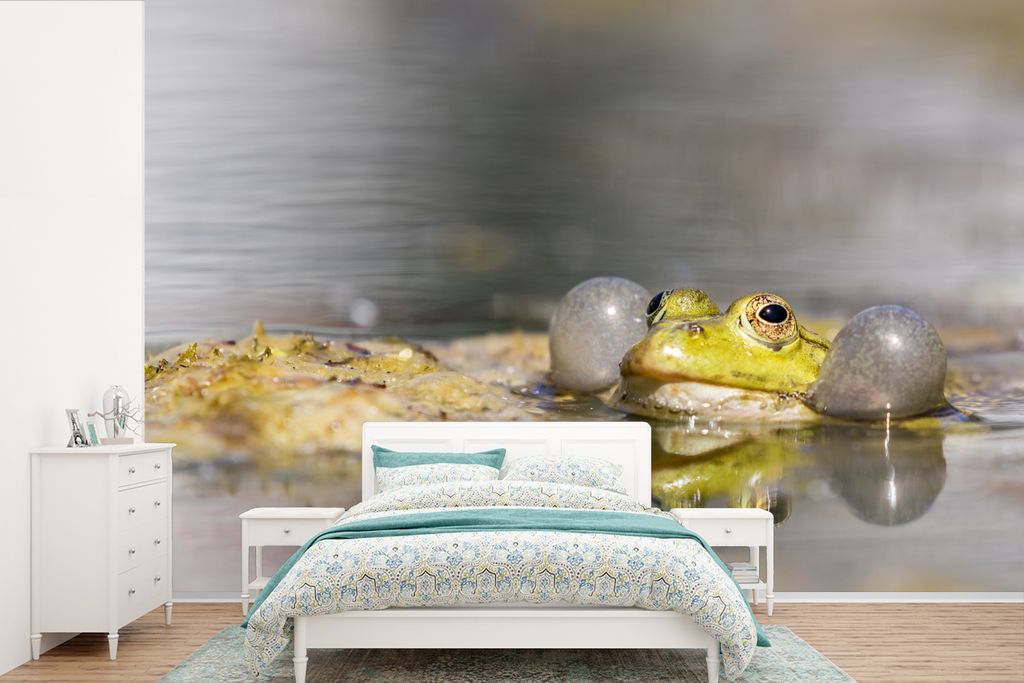 MuchoWow Fototapete für Wohnzimmer oder Schlafzimmer Wandtapete Vinyl Motivtapete Nahaufnahme eines quakenden Frosches - 330x220 cm - Fototapeten