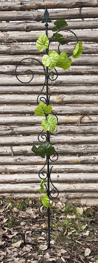 Support Plante Grimpante Métal 145 cm : Solution Stable avec Fixations - 13