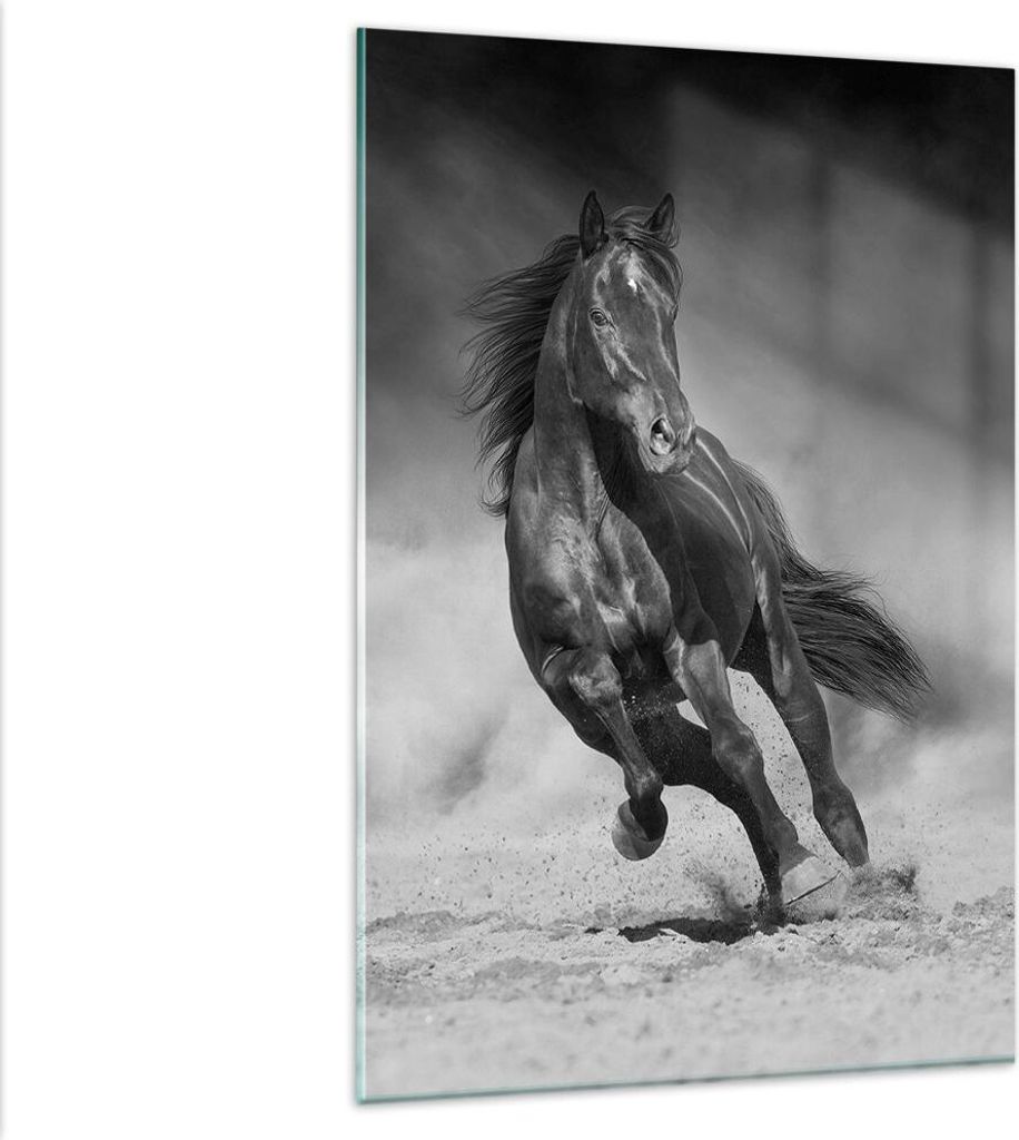 Bilder auf glas - Einteilig - Pferd Galopp dynamisch - 80x120cm - Glasbilder - Wandbilder - Bilder - zum Aufhängen bereit - Wanddekoration aus Gla...