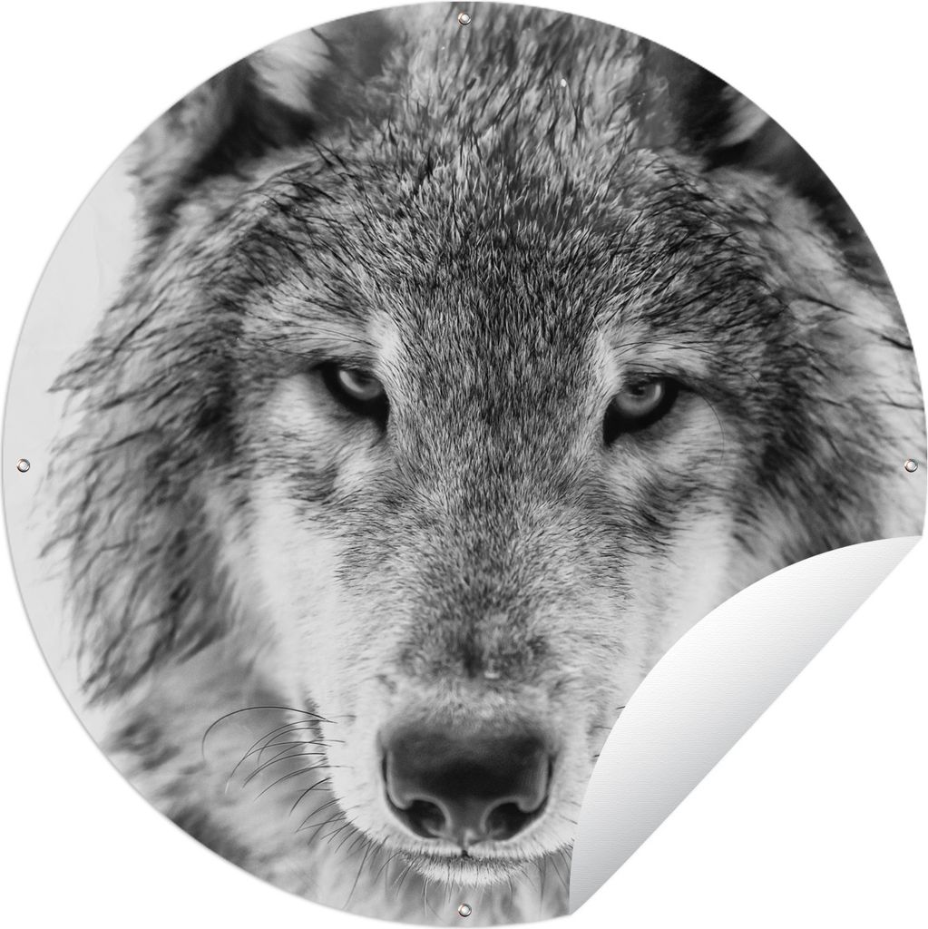 MuchoWow Gartenposter Outdoor-Poster Rund Tierprofil Wolf in schwarz und weiß Ø 120 cm Gartendeko Rundes Poster draußen