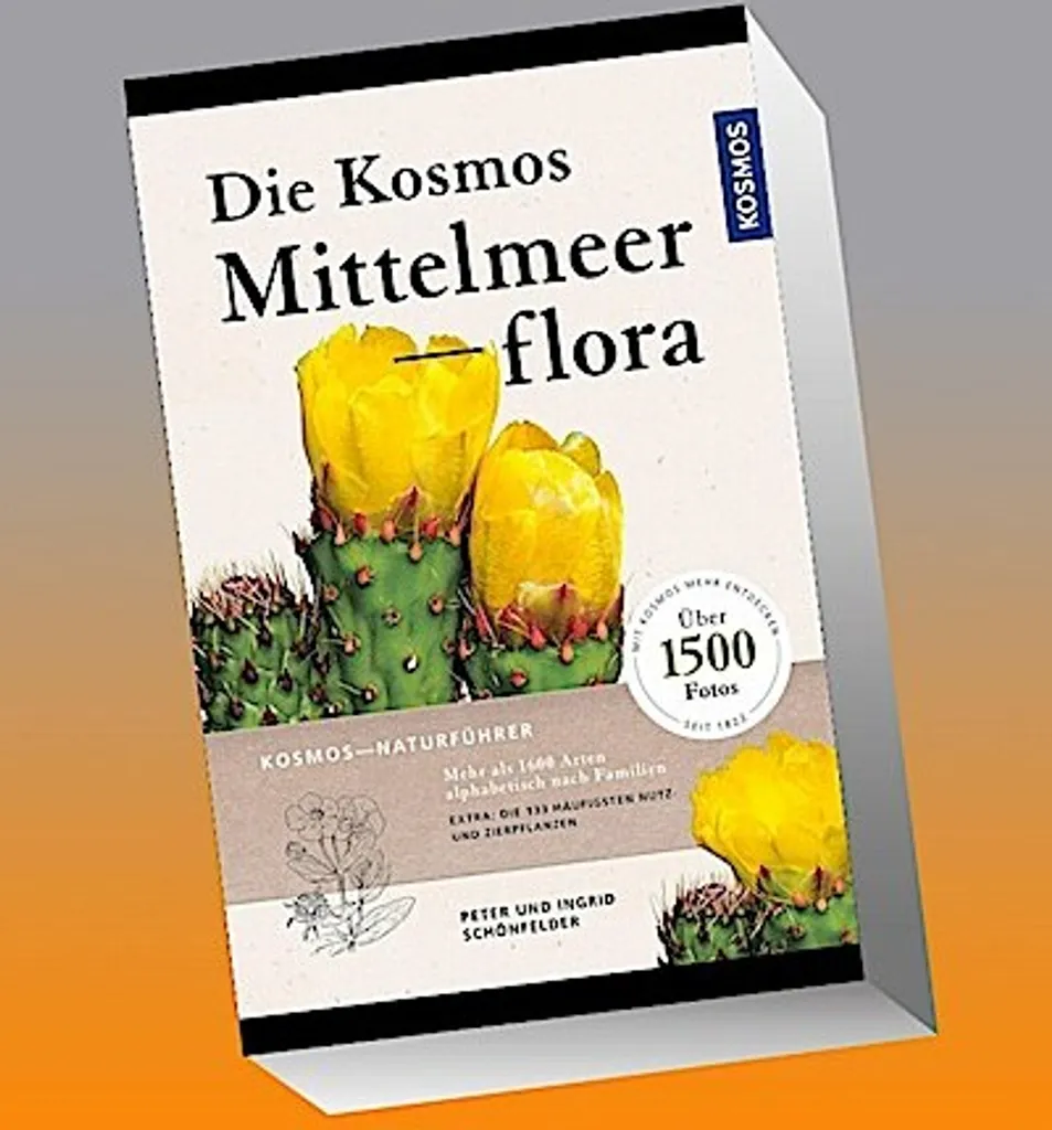 Identifiez les plantes méditerranéennes sans erreur avec Die Kosmos-Mittelmeerflora