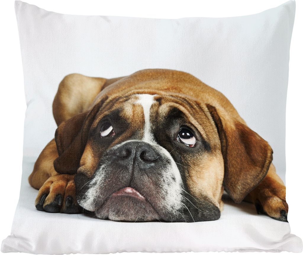 MuchoWow Zierkissen Sofakissen Wohnzimmer Dekokissen 60x60 cm Hund - Haustiere - Weiß - Sitzfläche - Foto Polster