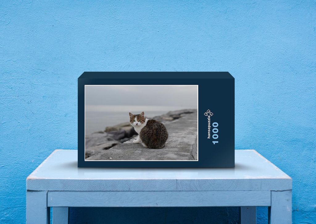 hansepuzzle 34128 - Katze Puzzle, 1000 Teile, Reisen, 60,0 x 46,0cm mit hochwertiger Aufbewahrung, Kartonbox und wiederverschließbarem Beutel