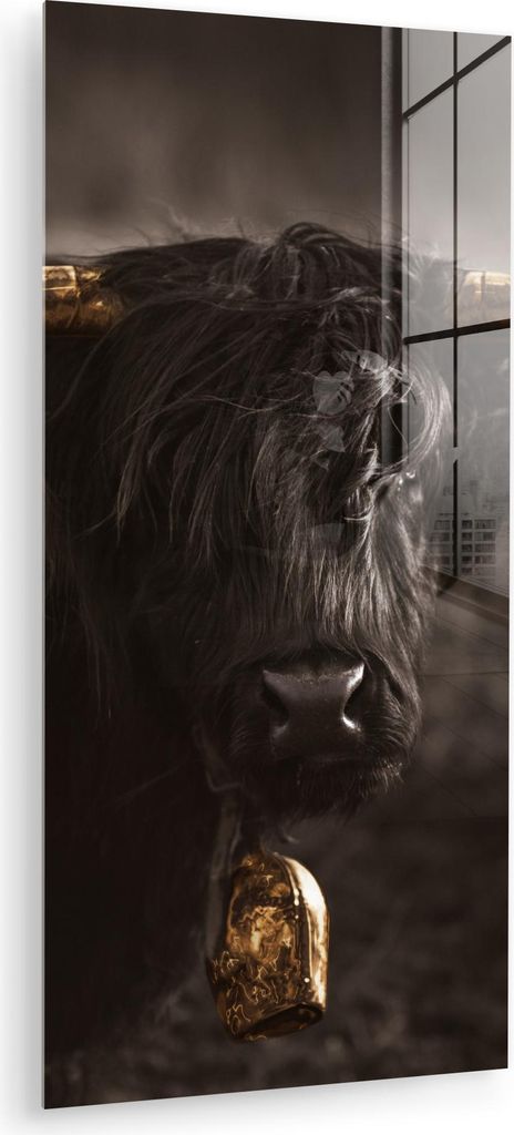 MuchoWow Glasbilder - Bilder auf Wandbild - Foto auf Glas Schottisches Hochlandrind - Gold - Kuhglocke - Hörner - Tiere 40x80 cm Wanddekoration au...