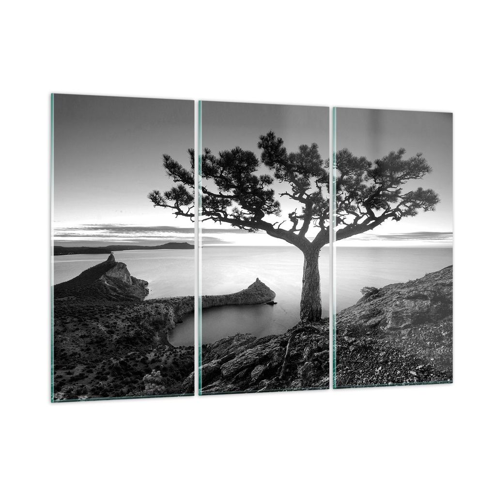 Bilder auf glas - 3 Teile - Baum Schwarzweiß Ansicht - 165x110cm - Glasbilder - Wandbilder - Bilder - zum Aufhängen bereit - Wanddekoration aus G...