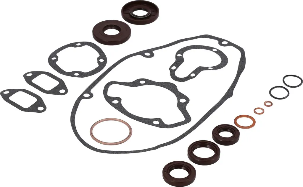 Kit joints moteur et roulements TS 125 version ancienne de moto MZ