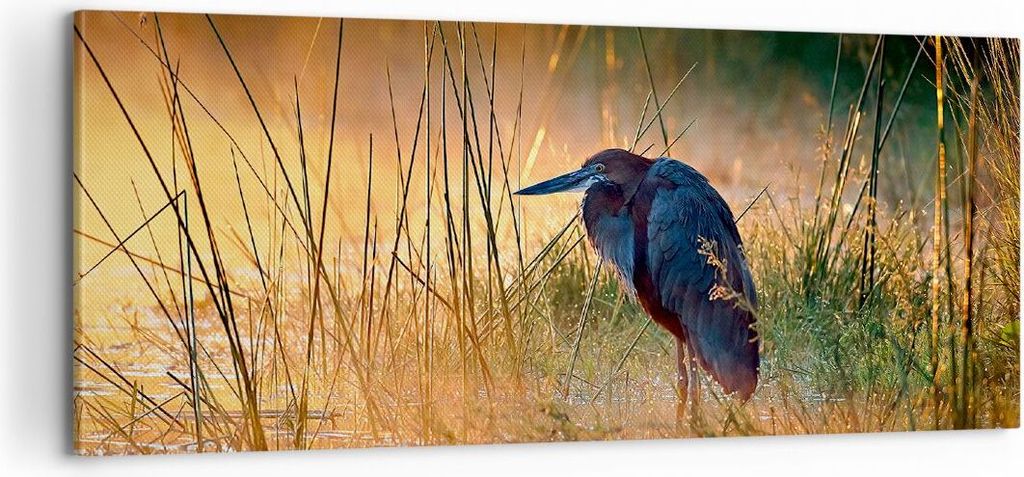 Bild auf Leinwand - Leinwandbild - Vogel Natur Wasser - 100x40cm - Wand Bild - Wanddeko - Leinwanddruck - Bilder - Kunstdruck - Wanddekoration - Le...