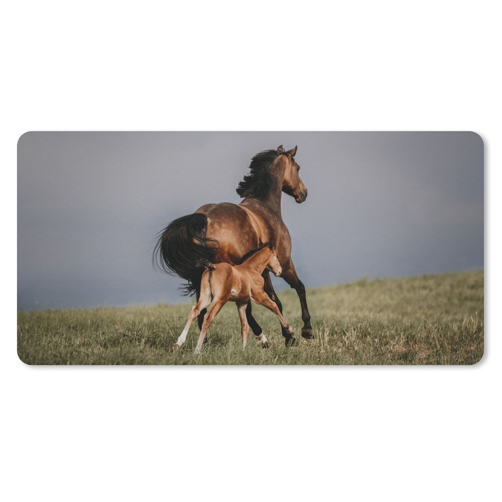 MuchoWow Schreibtischunterlage Tiere - Pferde - Fohlen 80x40 cm - XXL Mauspad - Gaming Mauspad