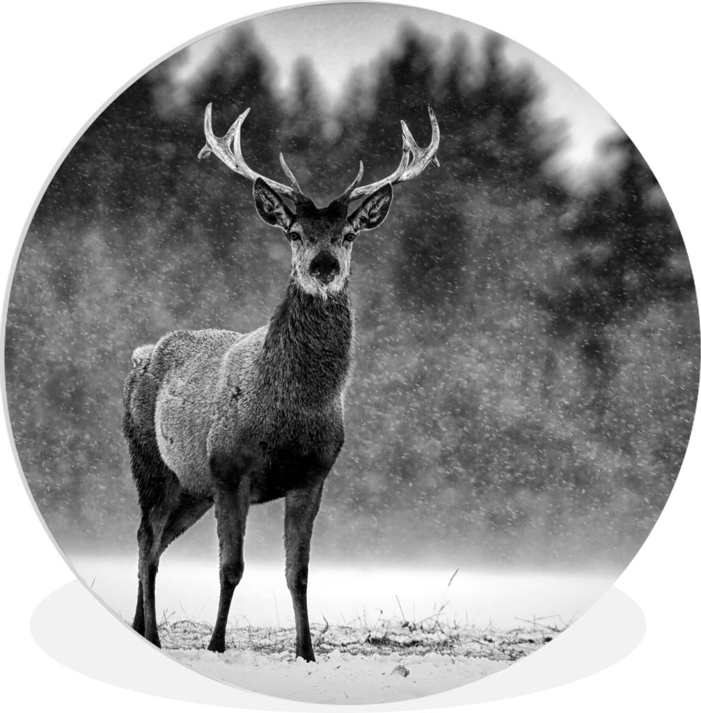 MuchoWow Rundes Wandbild - Runde Bilder Tiere - Hirsche - Winter - Schwarz - Weiß Ø 90 cm Kreis Wanddekoration Kunststoff - Wandkreis - Wandsch...
