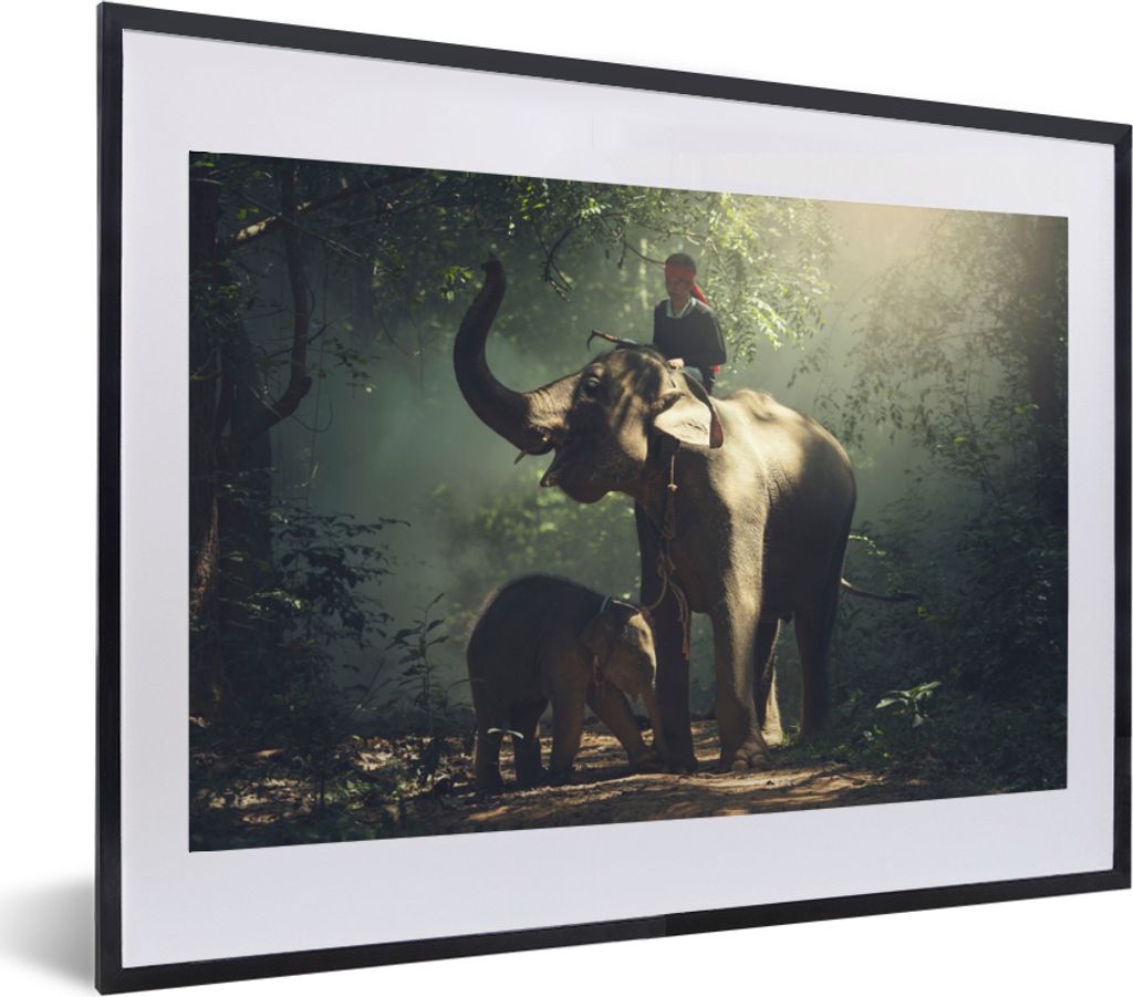 MuchoWow® MuchoWow® Gerahmtes Poster Elefant - Wald - Bäume Produktbild 