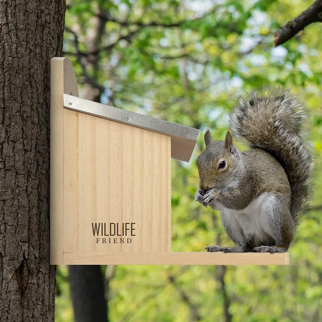 Station d'alimentation Écureuils Résistante avec Toit Protecteur 25cm - 10