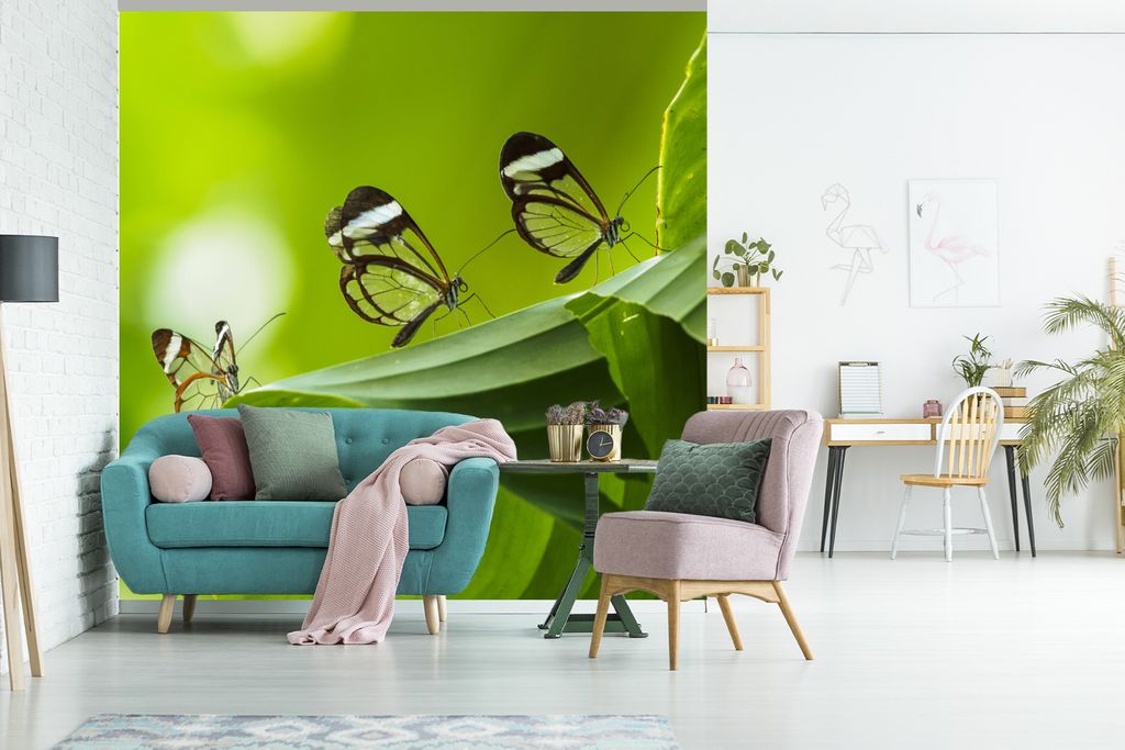 MuchoWow Fototapete für Wohnzimmer oder Schlafzimmer Wandtapete Vinyl Motivtapete Transparenter Schmetterling auf einem Blatt in Costa Rica - 30...