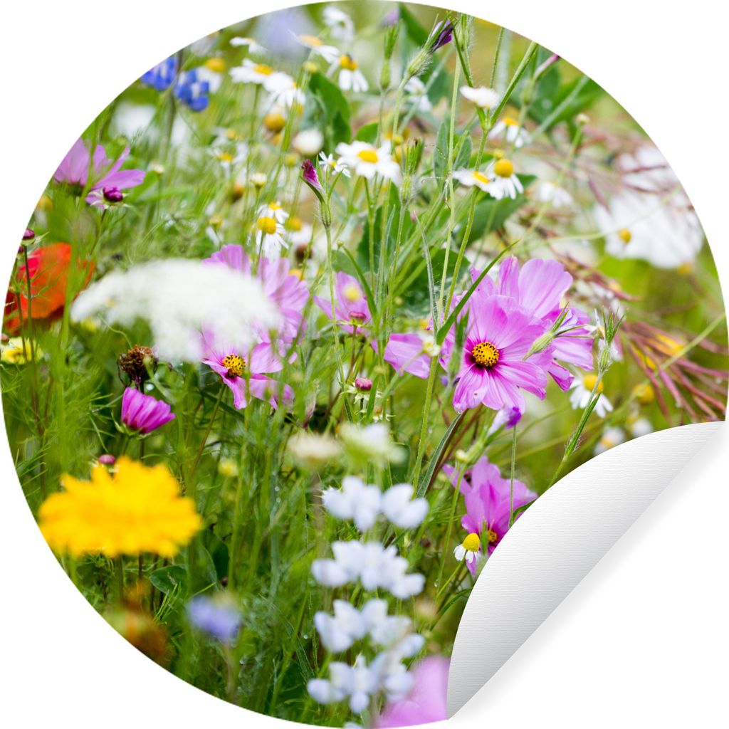 MuchoWow Runde Wandtattoo - Wandsticker Tapete Aufkleber Blumen - Natur - Grün - Gras - Lila - Weiß Ø 50 cm Selbstklebend und Repositionierbar...