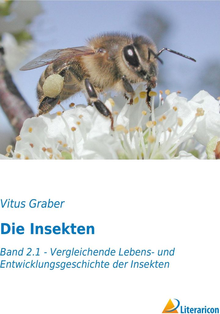 Die Insekten