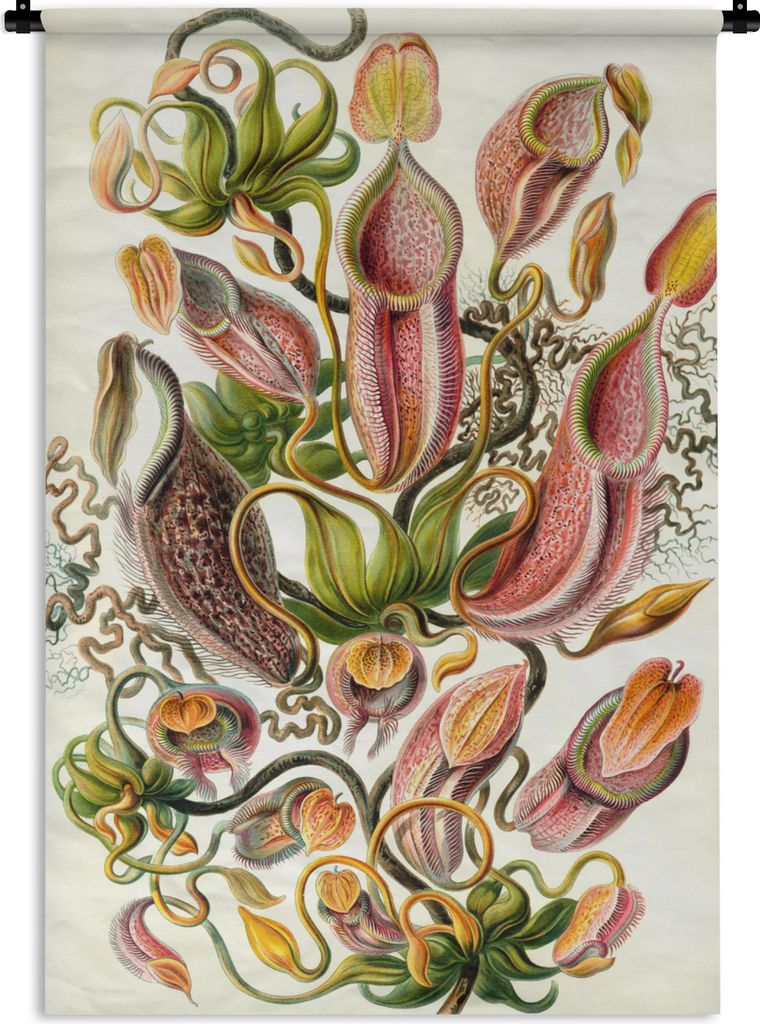 MuchoWow Wandteppich Wandbehang Design - Botanisch - Fleischfressende Pflanze - Ernst Haeckel 60x90 cm Tapisserie Dekoration Wandtuch - Foto-Tepp...