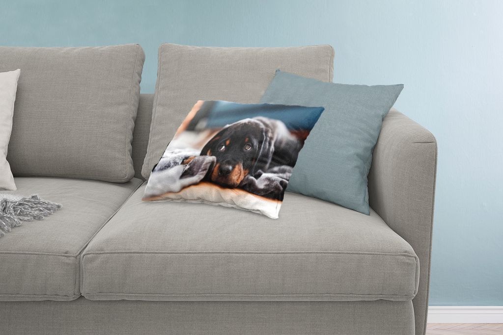 MuchoWow Zierkissen Sofakissen Wohnzimmer Dekokissen 60x40 cm Niedlicher Rottweiler-Welpe liegt auf dem Boden - Kopfkissen - Polster mit Foto