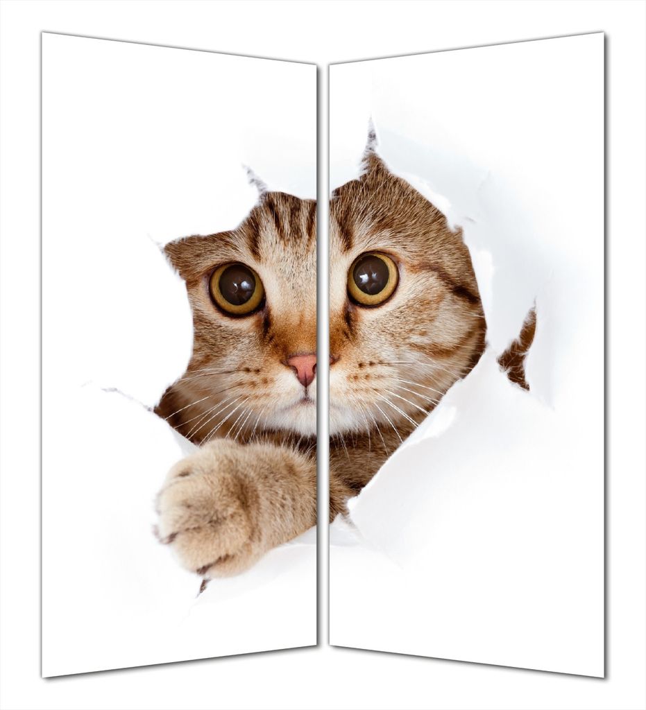 Wallario selbstklebende Duschrückwand 160 x 180 cm mit Motiv Katze mit Blick nach vorn - Wandverkleidung mit Hochglanzlaminat in Glasoptik